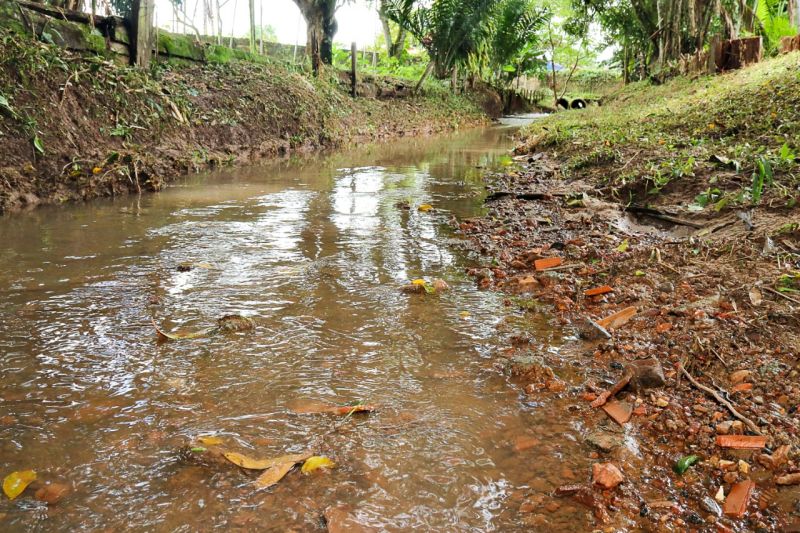 Prefeitura de Benevides limpa todos os igarapés do município 