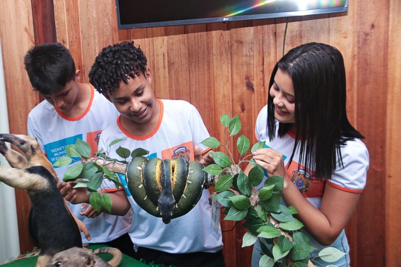 Benevides celebra o Dia da Árvore 