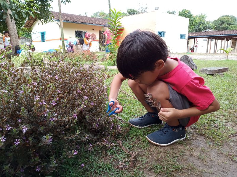 Alunos da Rede Municipal de Benevides aprendem interagindo com a natureza por meio do Projeto TiNis, Terra das Crianças