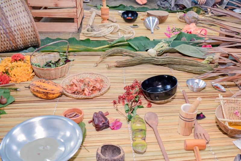 REUNIÃO INSTITUTO ALANA - CENTRO DE FORMAÇÃO