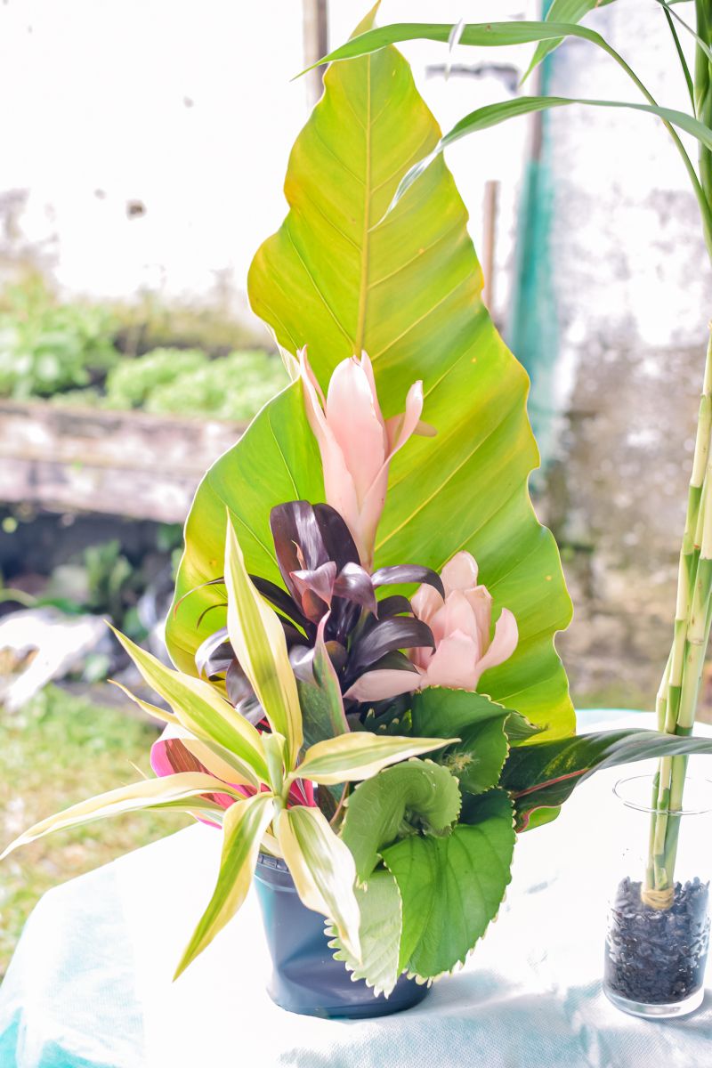 CERTIFICAÇÃO DE ARRANJOS FLORAIS