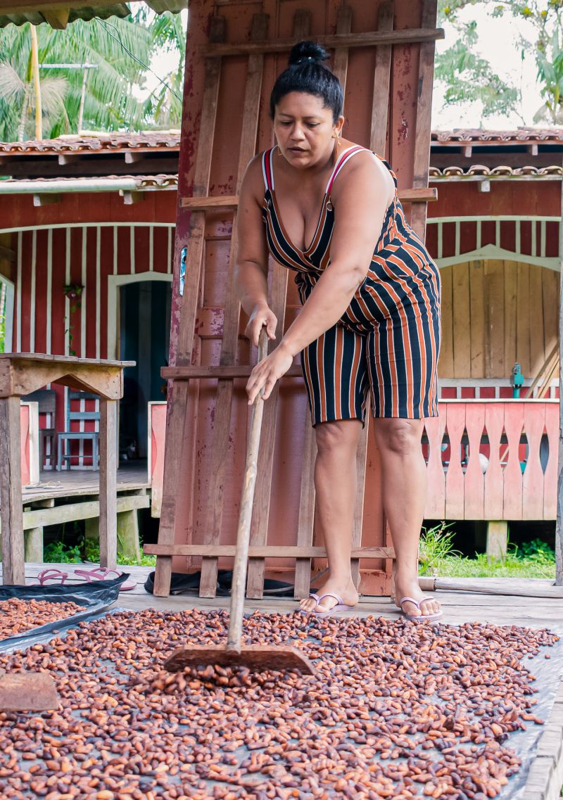 CACAU DE SANTO AMARO