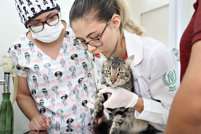 AÇÃO CASTRA MÓVEL