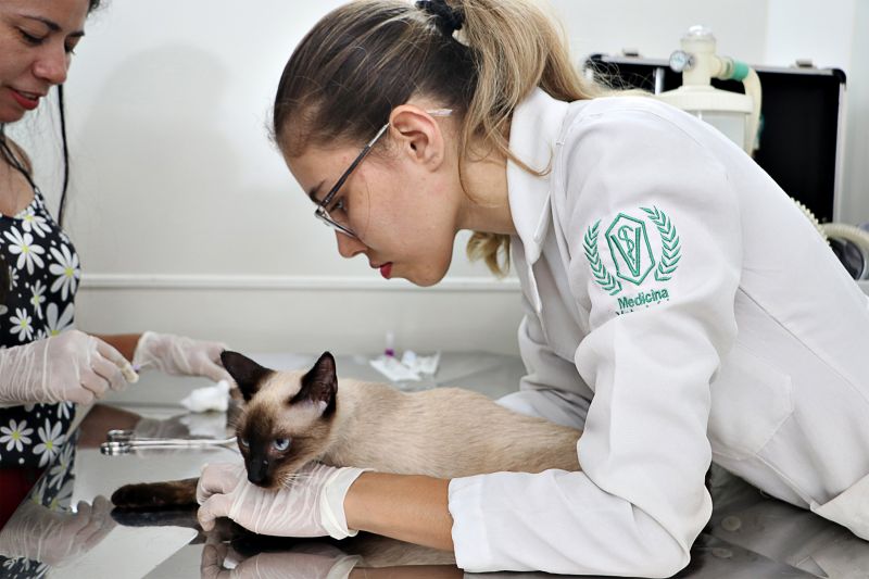 AÇÃO CASTRA MÓVEL