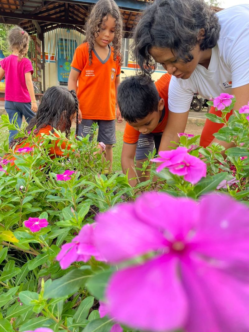 Projeto TiNis como ferramenta pedagógica na Escola Fiore
