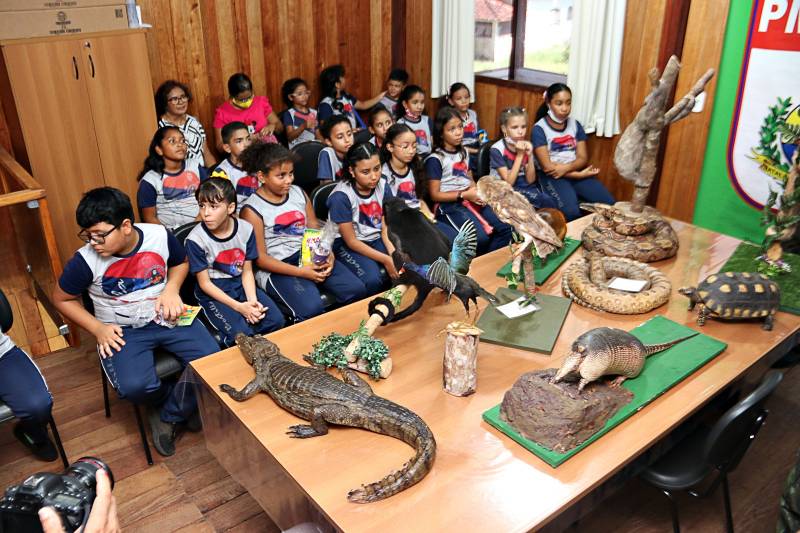 Crédito: Márcio Sousa