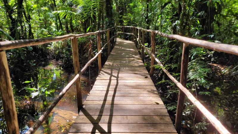 Prefeitura de Benevides investe no ecoturismo