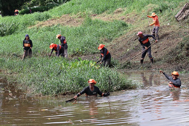 LIMPEZA DO IGARAPÉ QUEBRA GALHO
