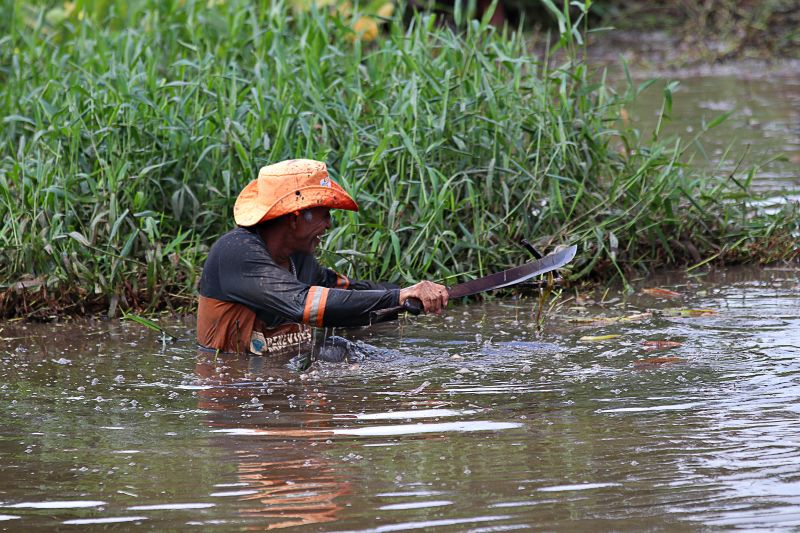 LIMPEZA DO IGARAPÉ QUEBRA GALHO