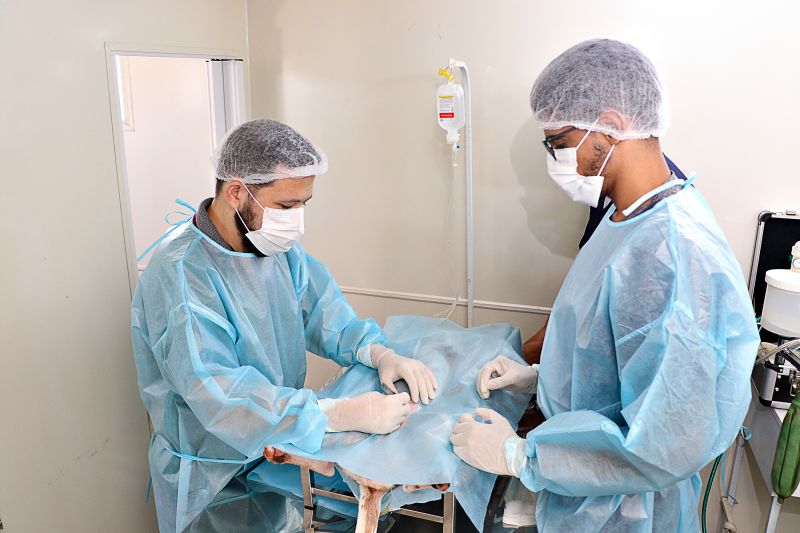 Ação Castra Móvel St Dumont 2