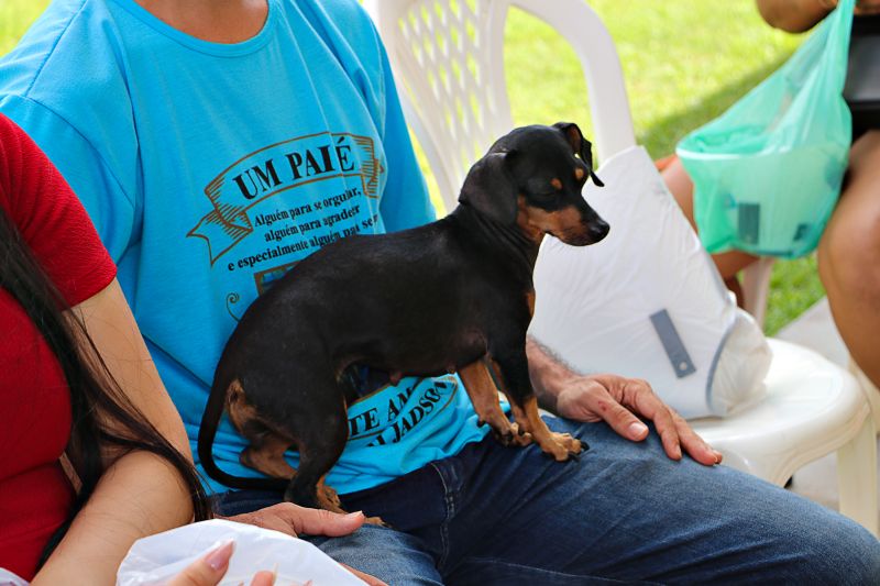 Ação Castra Móvel St Dumont 2