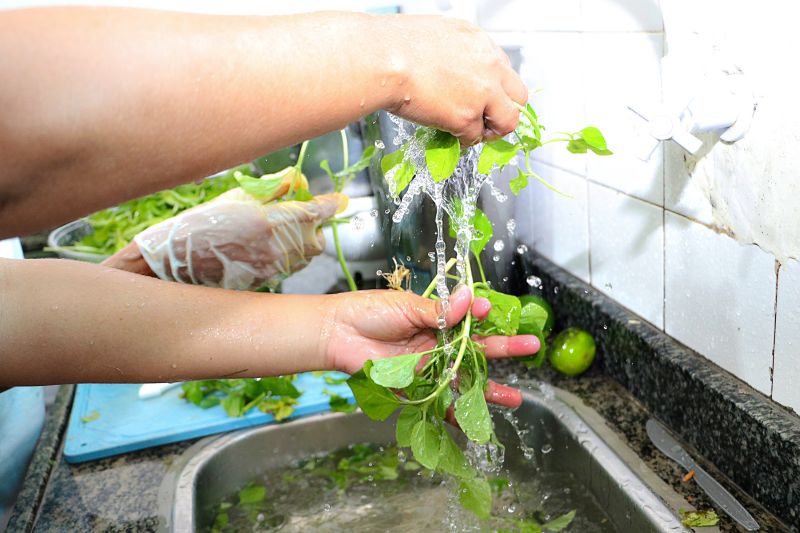 Manipulação de alimentos ESCOLA FIORE ENTREGA DOS CERTIFICADOS