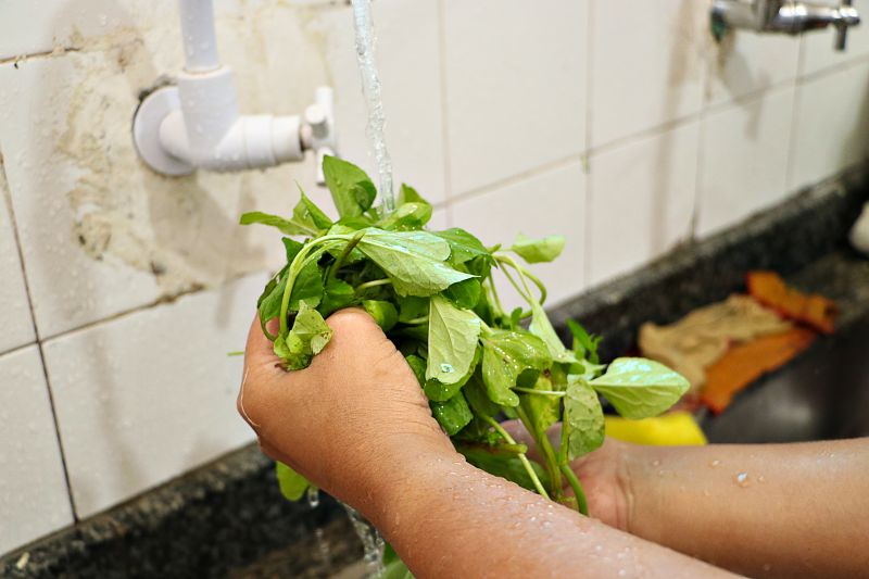 Manipulação de alimentos ESCOLA FIORE ENTREGA DOS CERTIFICADOS