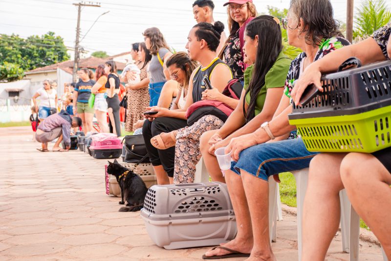 AÇÃO CASTRA MÓVEL MAGUARY - GATOS