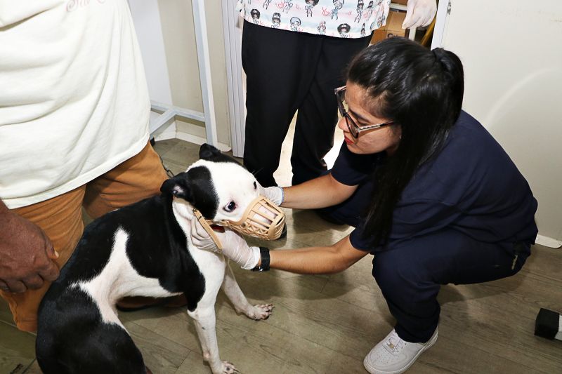 Açao Castra Móvel em Sta Maria