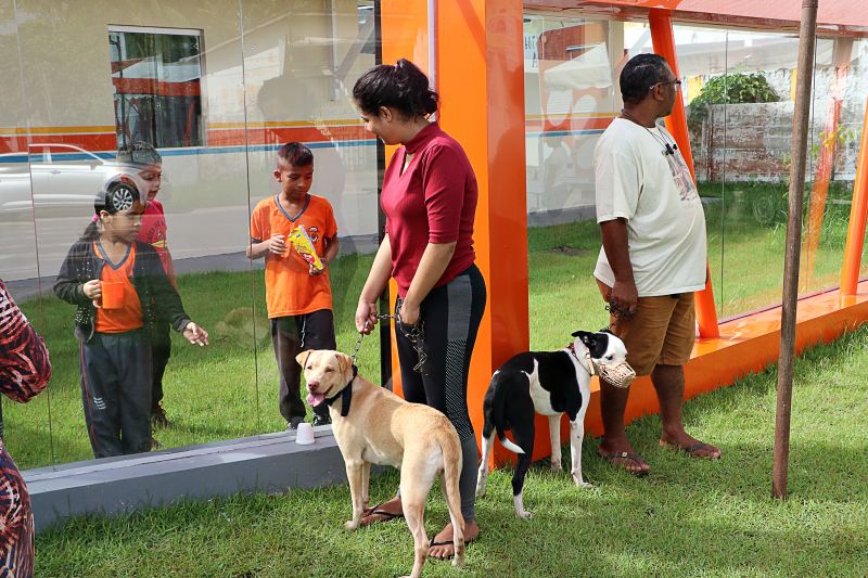 Açao Castra Móvel em Sta Maria