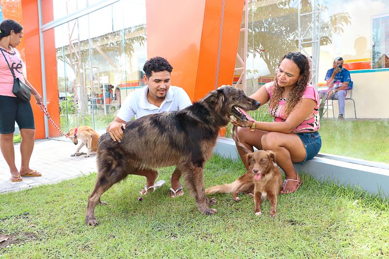 Açao Castra Móvel em Sta Maria