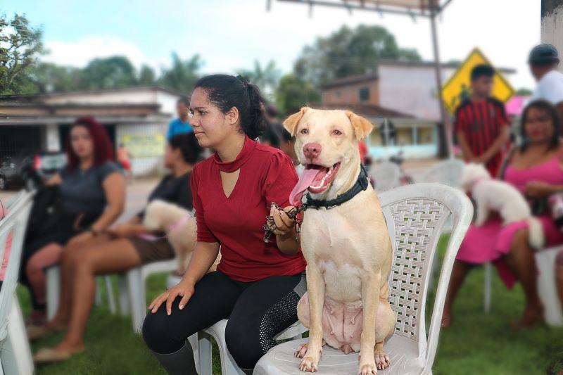 Açao Castra Móvel em Sta Maria