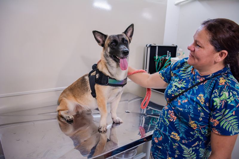 AÇÃO CASTRA MÓVEL GINÁSIO NAGIBÃO-CÃES