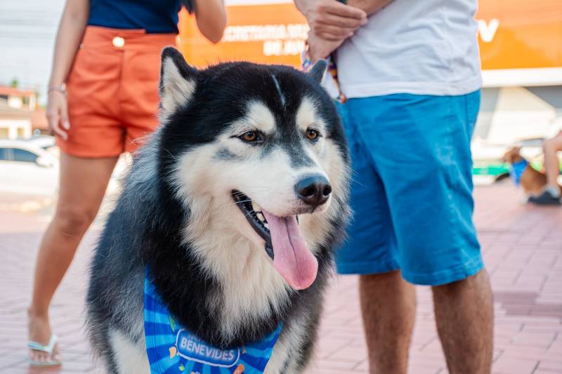 Crédito: Cecom-Benevides/Karla Sofia