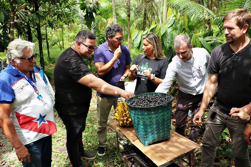 Técnicos do Banco Mundial visitam Benevides para conhecer políticas de apoio à agricultura familiar