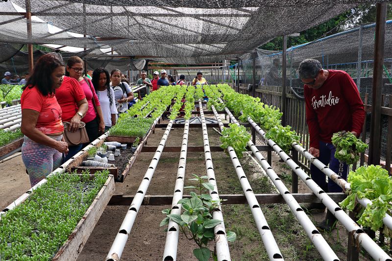 ENCERRAMENTO DO SEMINÁRIO DE PLANEJAMENTO SEMAGRI - VISITA A PROPRIEDADE SO SR LUIZ