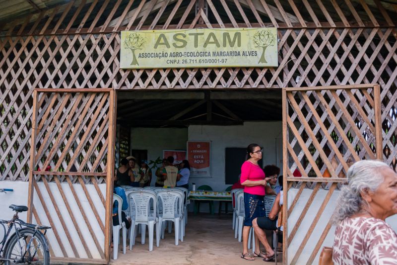 ENTREGA DE MUDAS DE CACAU AOS PRODUTORES DA COMUNIDADE MARGARIDA ALVES