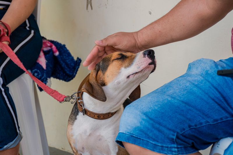 AÇÃO CÁSTRA MÓVEL (CÃES) PARICATUBA