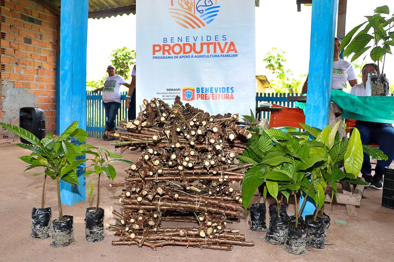 Oficina de Mandiocultura SEMAT