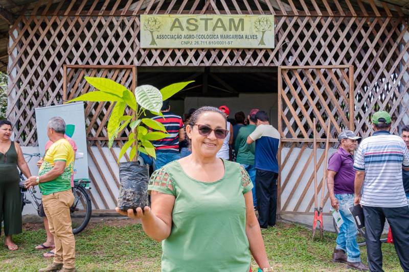 Agricultores recebem incentivo para cultivar cacau