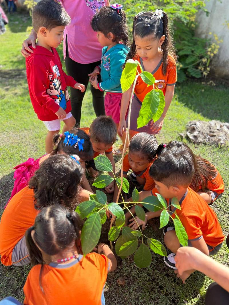 Crédito: Divulgação