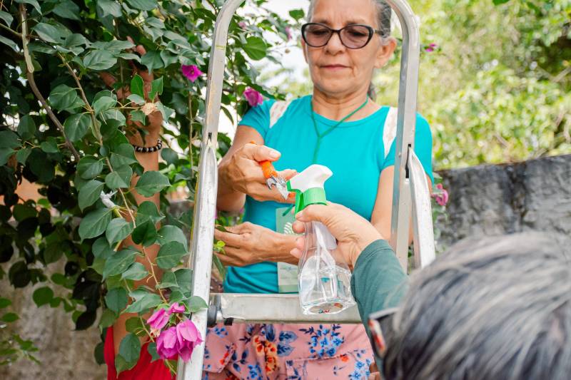 Curso promovido pela Prefeitura de Benevides repassa técnicas de plantio